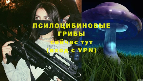 spice Алексин