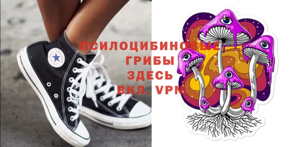 прущие грибы Алзамай