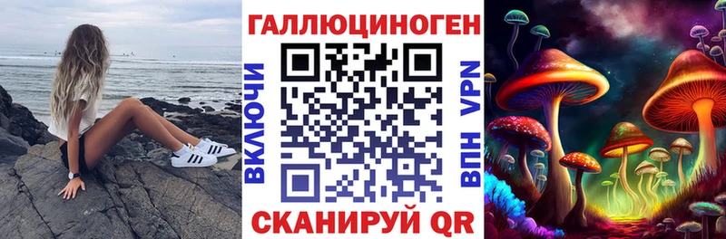 сайты даркнета как зайти  Болгар  Псилоцибиновые грибы прущие грибы  закладка 